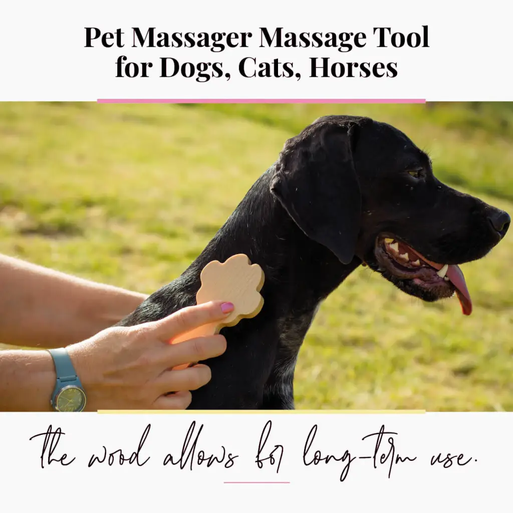 Wooden Massager for Dogs, Cats, Horses - Pet Massage Tool - Image 5