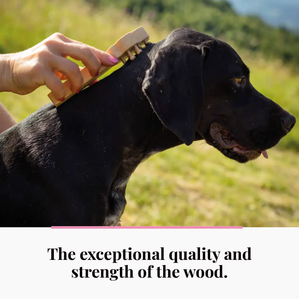 Wooden Massager for Dogs, Cats, Horses - Pet Massage Tool - Image 7