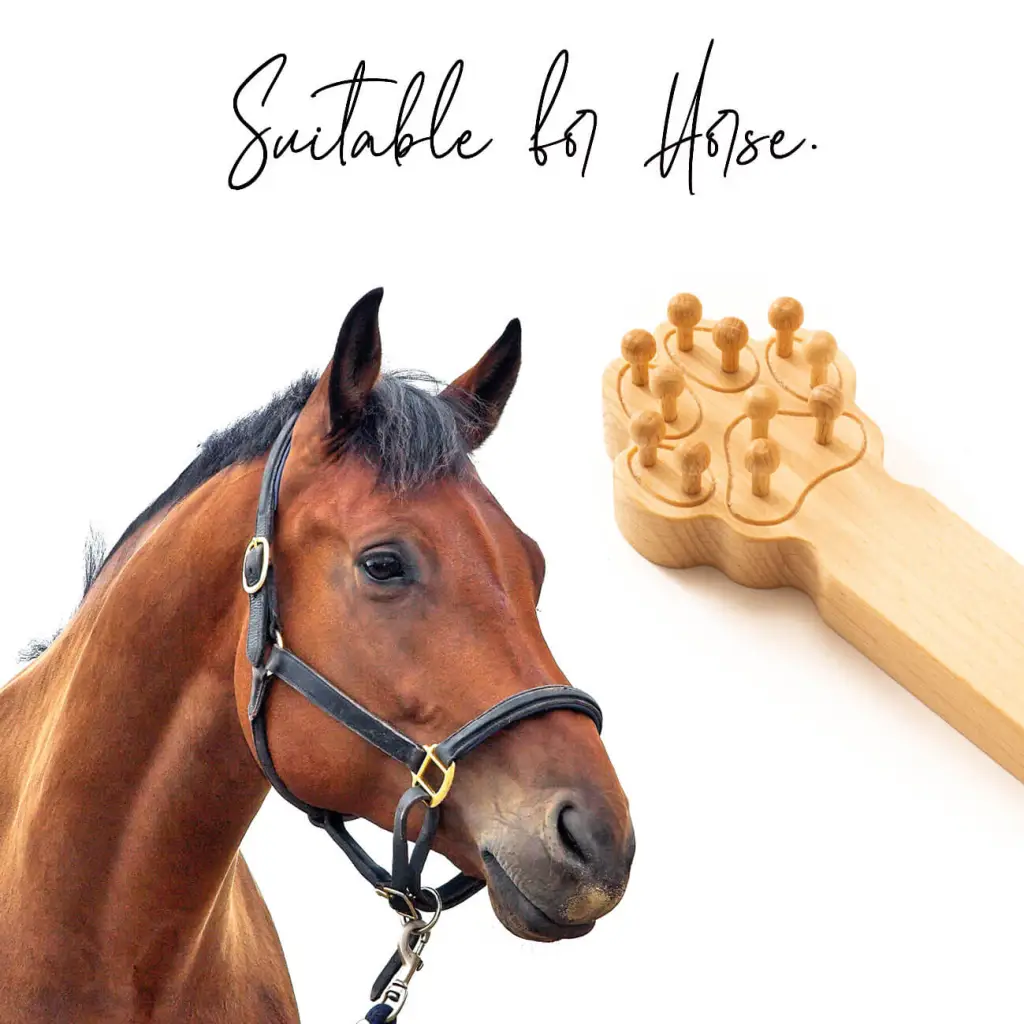 Wooden Massager for Dogs, Cats, Horses - Pet Massage Tool - Image 8