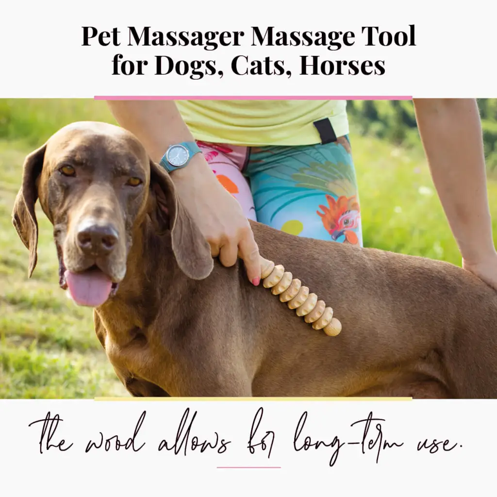Wooden Pet Massager Tool - Relaxation and Wellness for Your Beloved Pets - Image 5