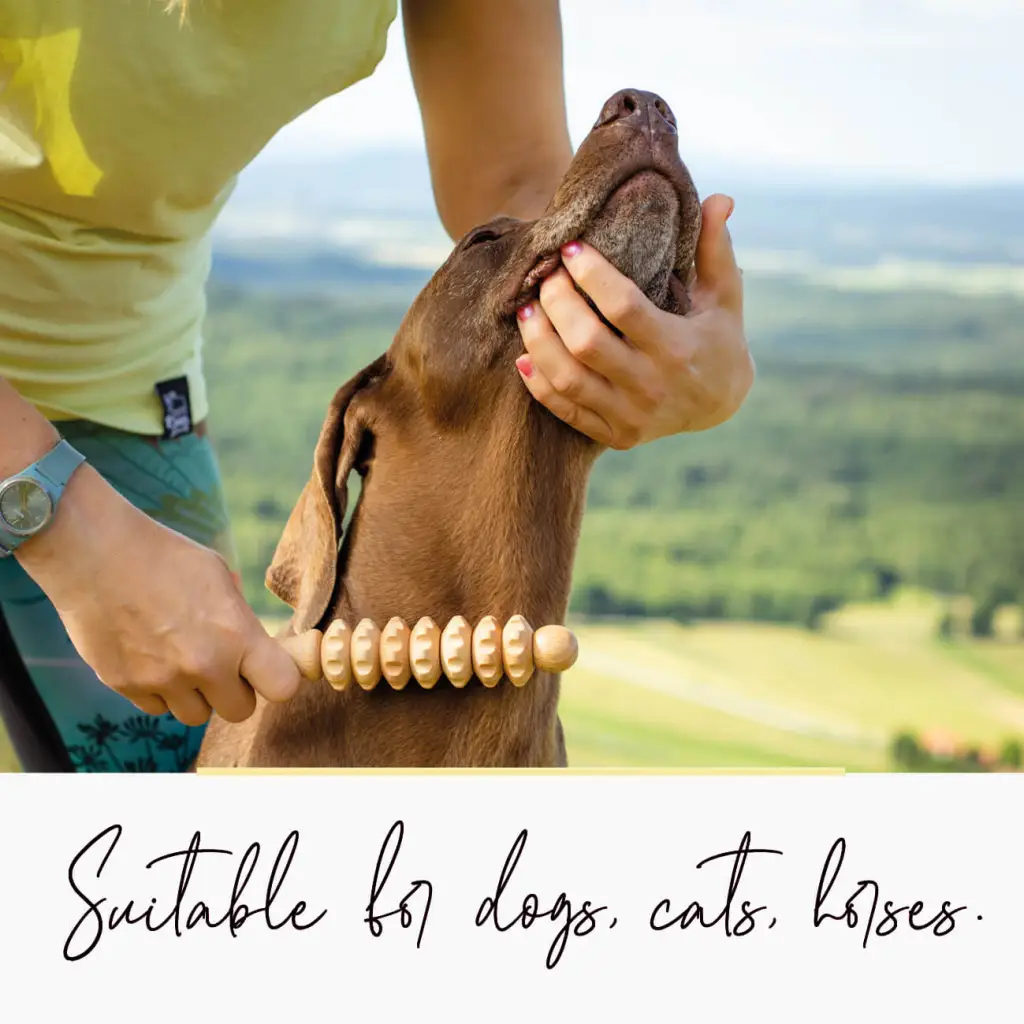 Wooden Pet Massager Tool - Relaxation and Wellness for Your Beloved Pets - Image 6