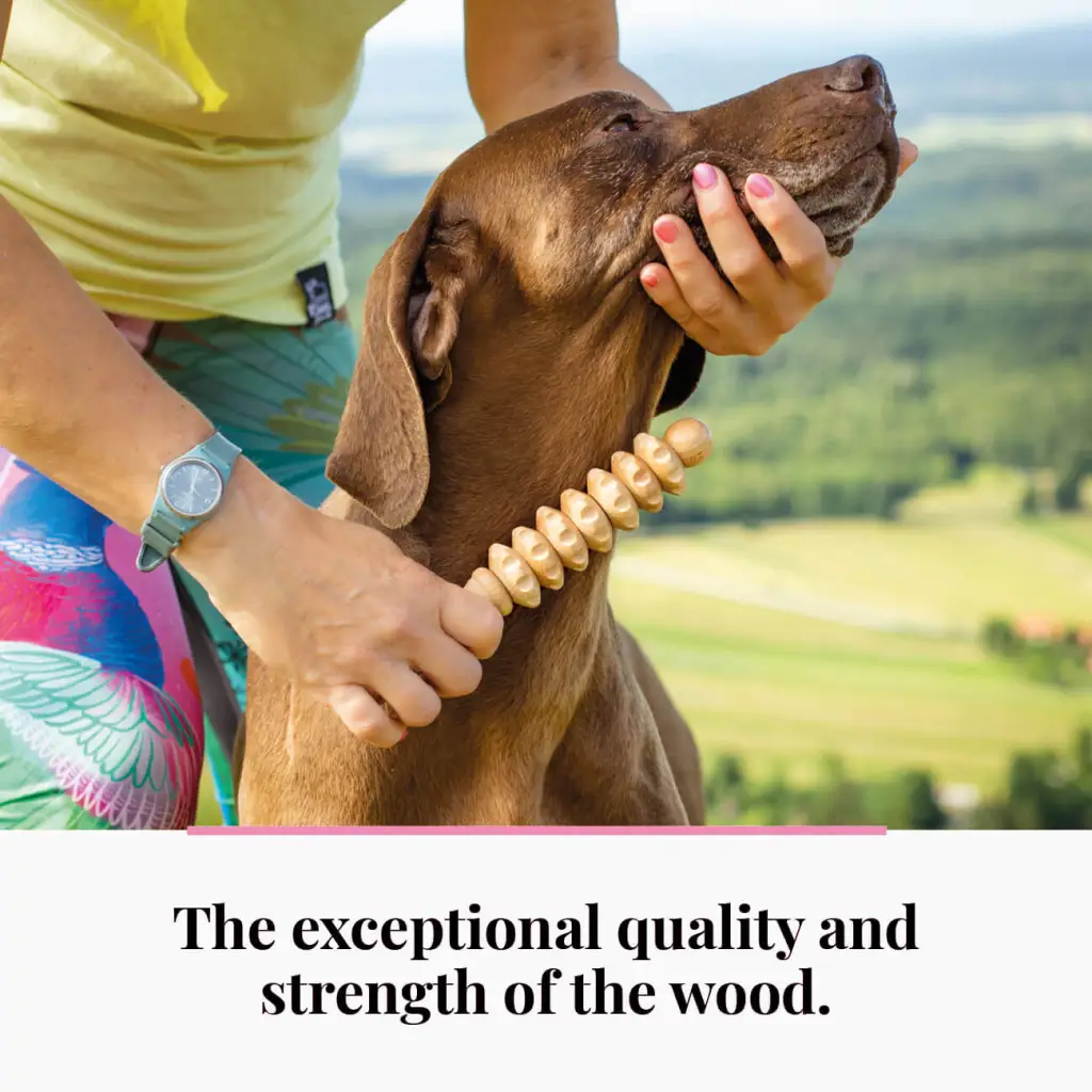 Wooden Pet Massager Tool - Relaxation and Wellness for Your Beloved Pets - Image 7