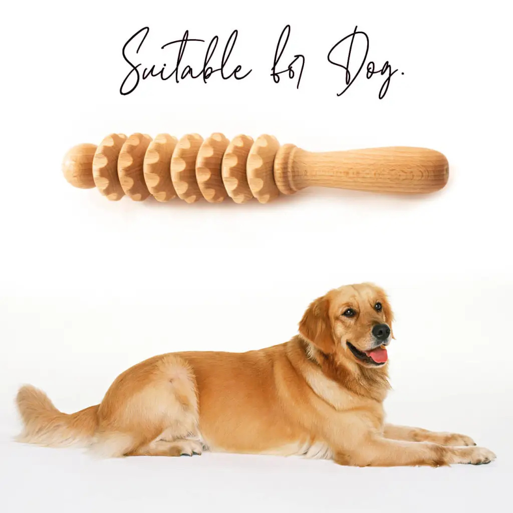 Wooden Pet Massager Tool - Relaxation and Wellness for Your Beloved Pets - Image 9